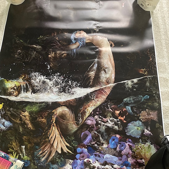 La Caceria De La Sirena poster - Picture 2 of 2